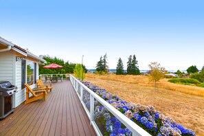 Terrace/patio - Newly updated home with sweeping cascade views, gas grill, WiFi & lush acreage (Camano Island)