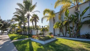 A well-maintained residential area with a clean lawn, palm trees, and a white building with a flat roof. - Cottage by the Sea steps to beach with heated pool (Carpinteria)