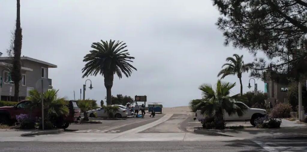 A street with parked cars, palm trees, and a building in the background.