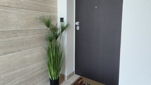 Una puerta moderna con un panel oscuro, un felpudo con diseño de rana y una planta en maceta a su lado.
