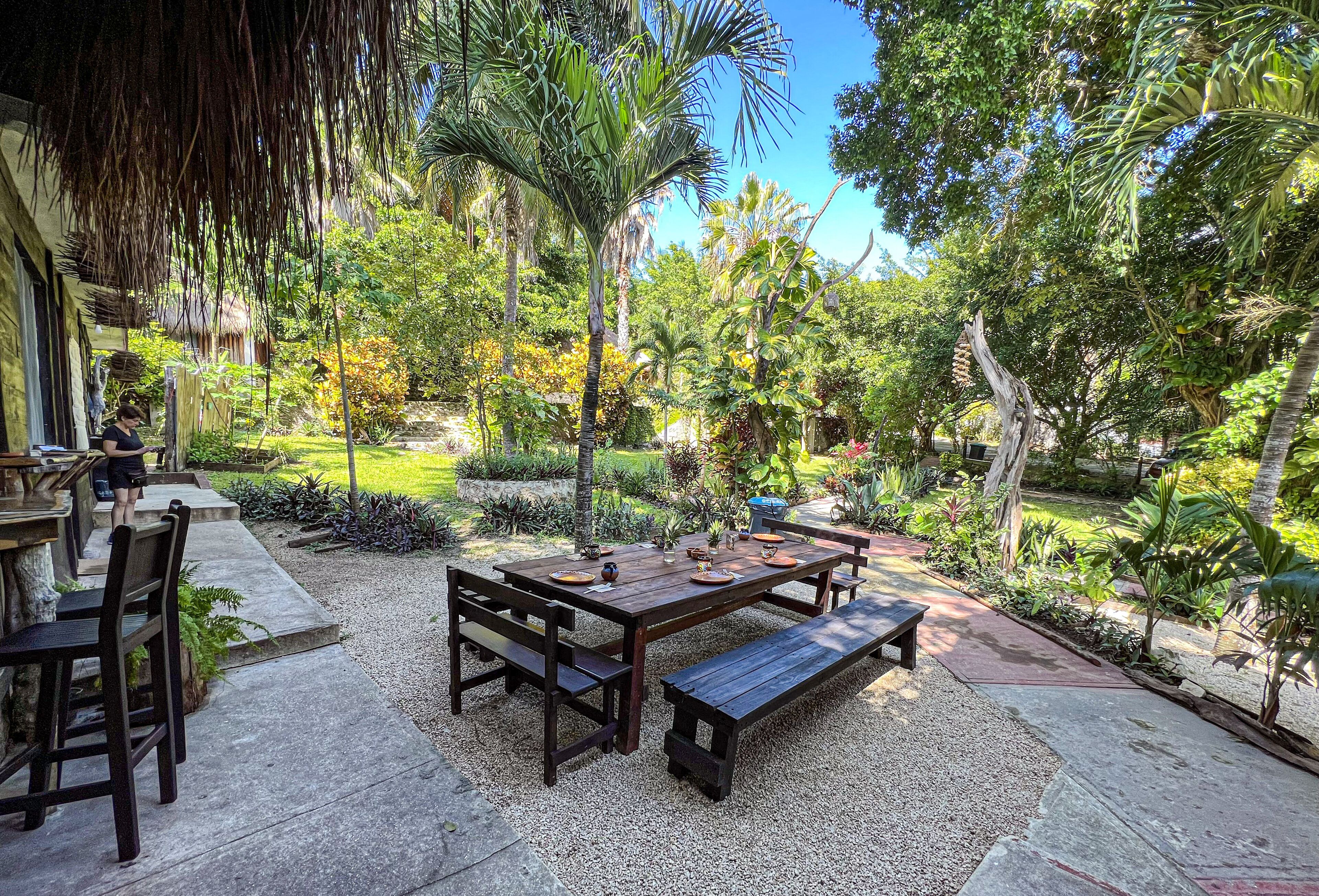 Un espace de restauration en plein air avec une table et des bancs en bois, entouré d’une végétation luxuriante et d’arbres.