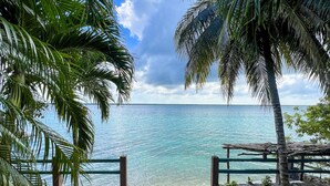 A pathway leading to a beach with clear turquoise water, surrounded by palm trees and a wooden fence.