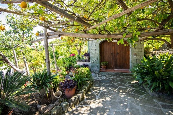 Un chemin de pierres menant à une porte en bois, entouré d’une végétation luxuriante et de plantes en pot.