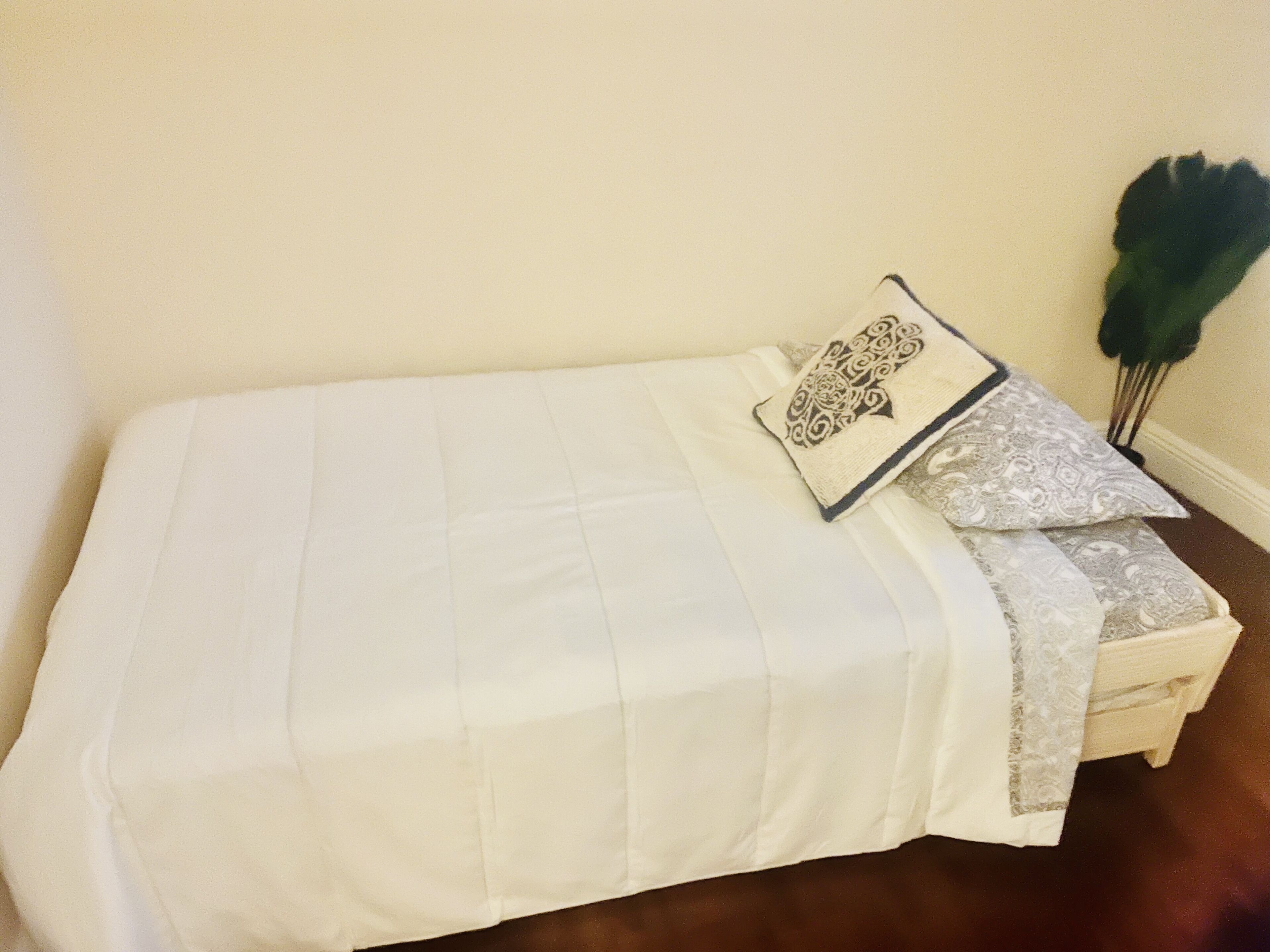 4- Bedroom Bucs House in the Heart of Tampa Bay.