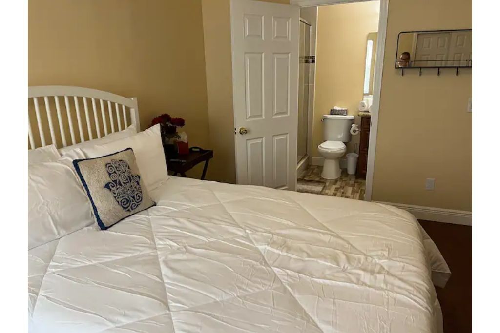 4- Bedroom Bucs House in the Heart of Tampa Bay.