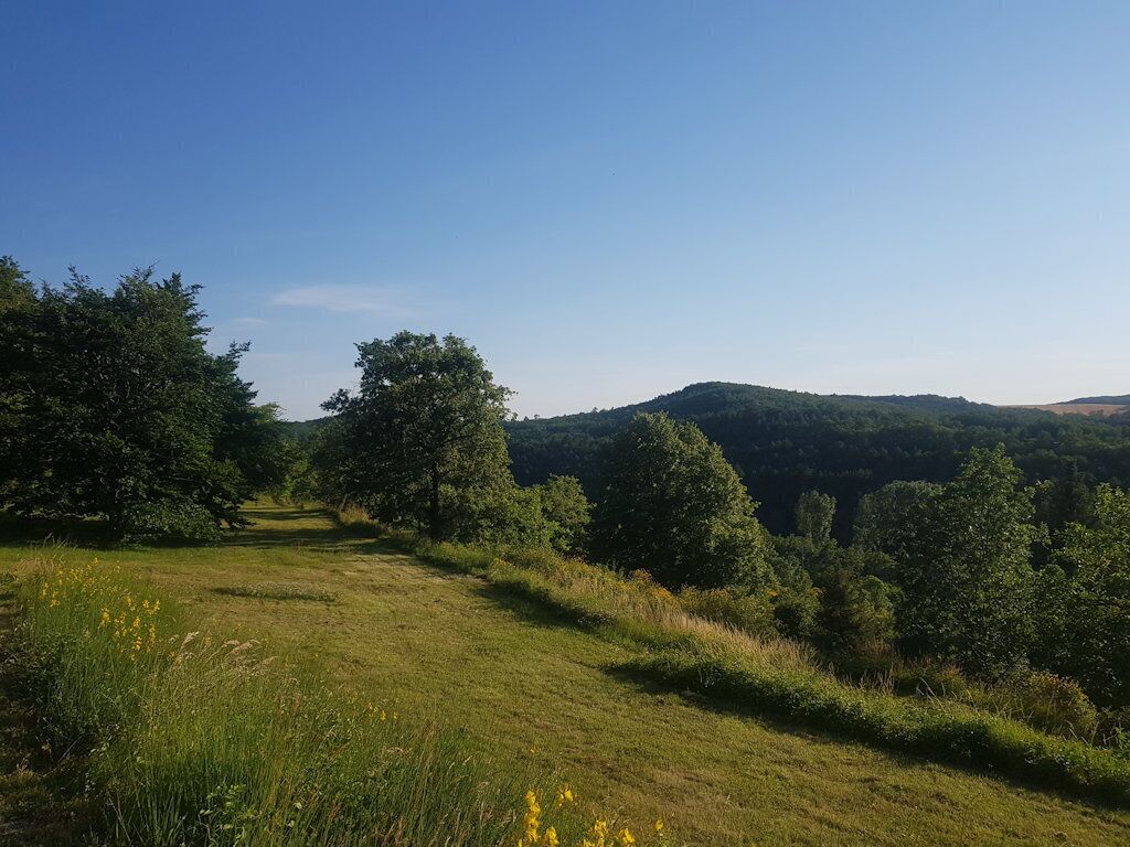 Gîte La Lisette en Drôme Provençal en Campagne à 5min du Beau Village de Saou !