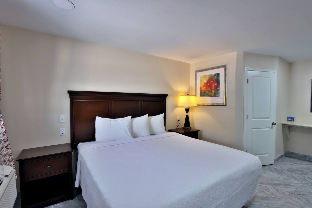 Habitación de hotel con cama, mesita de noche, lámpara, puerta y un cuadro en la pared.