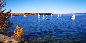 Beach - V@Home  Stylish 5BR/2BA Retreat, Central Location, Groups & Families (Calgary)