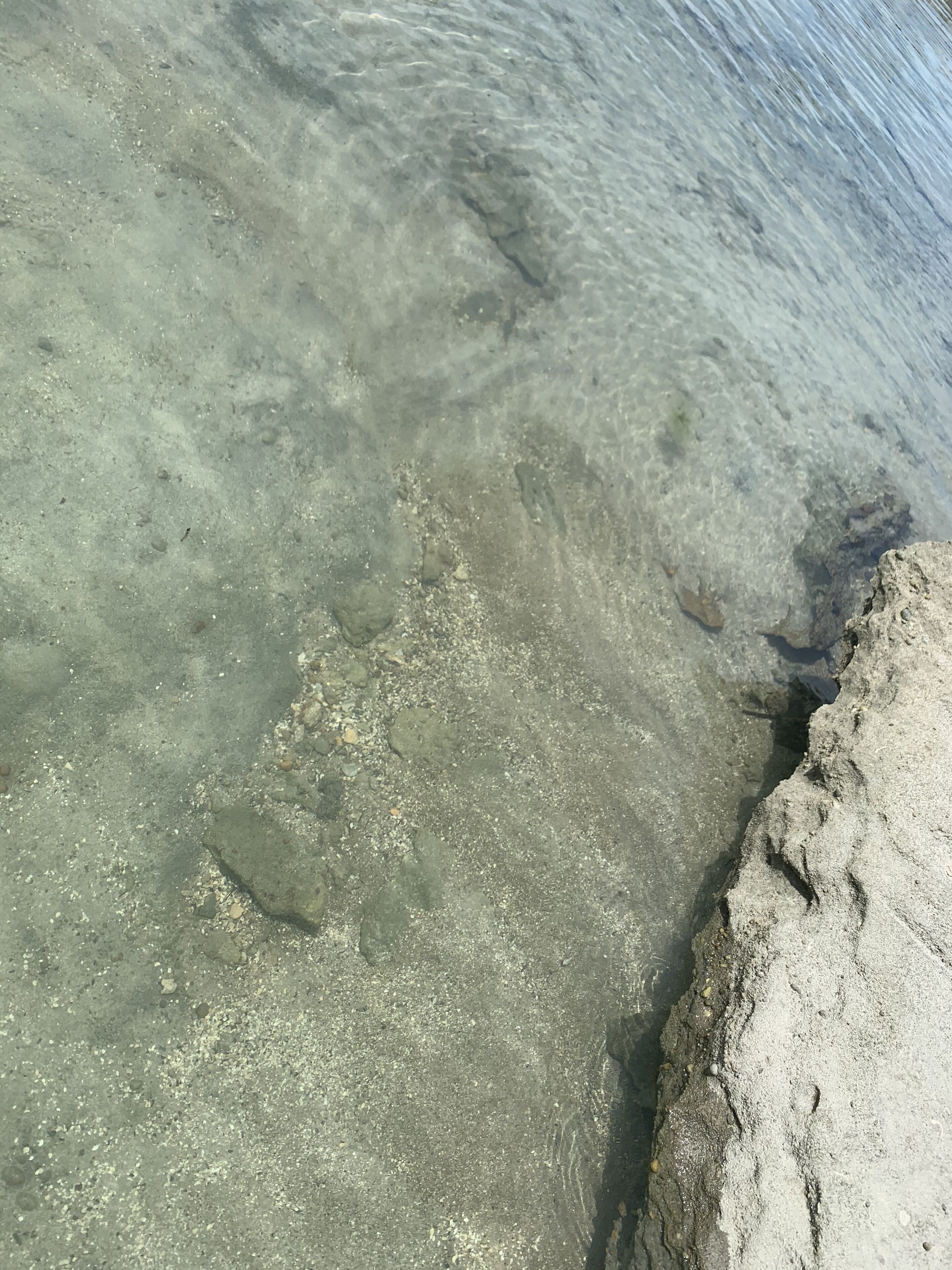 STAY AT THE BEIRA BAR OF PRAIA DOS CARNEIROS - TAMANDARÉ