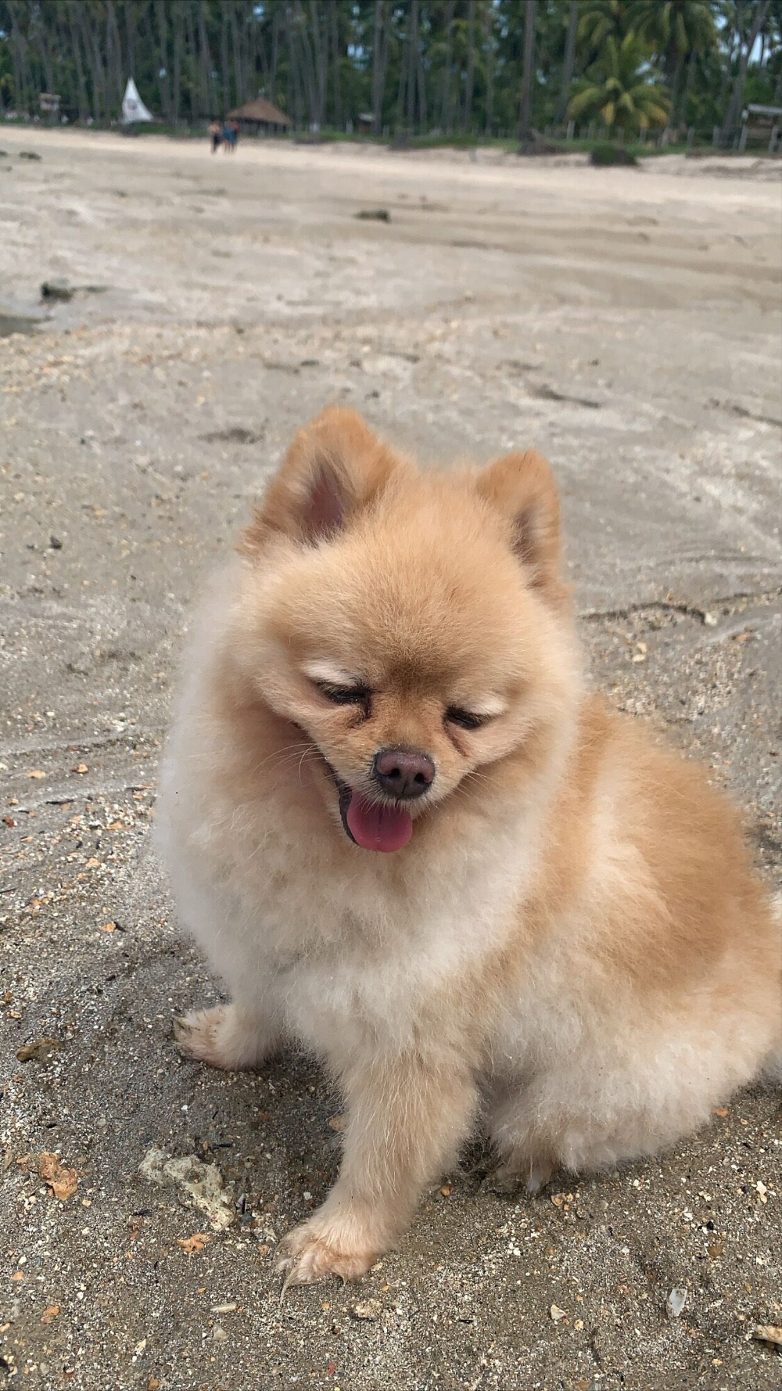 Host profile image