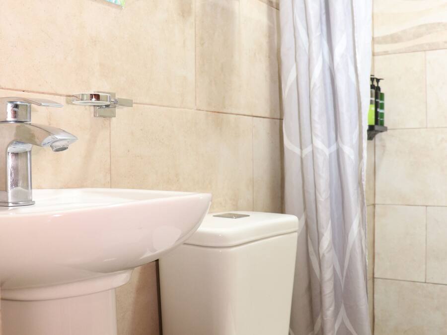 Une salle de bain avec un lavabo blanc, des toilettes et un rideau de douche.