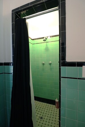 Combined shower/tub, hair dryer, towels, soap - Lofty Elegant Home In Downtown Princeton (Princeton)