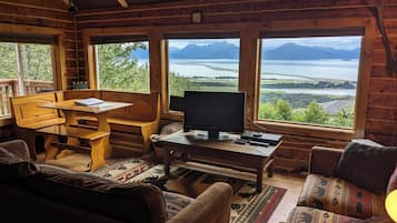 TV, DVD player, books