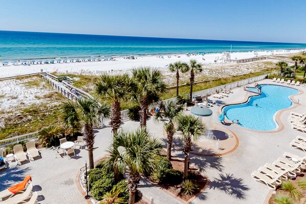 Relax by the pool surrounded by palm trees and enjoy access to the beach.