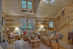 TV connectée, cheminée, livres