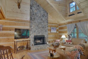 Smart TV, fireplace, books