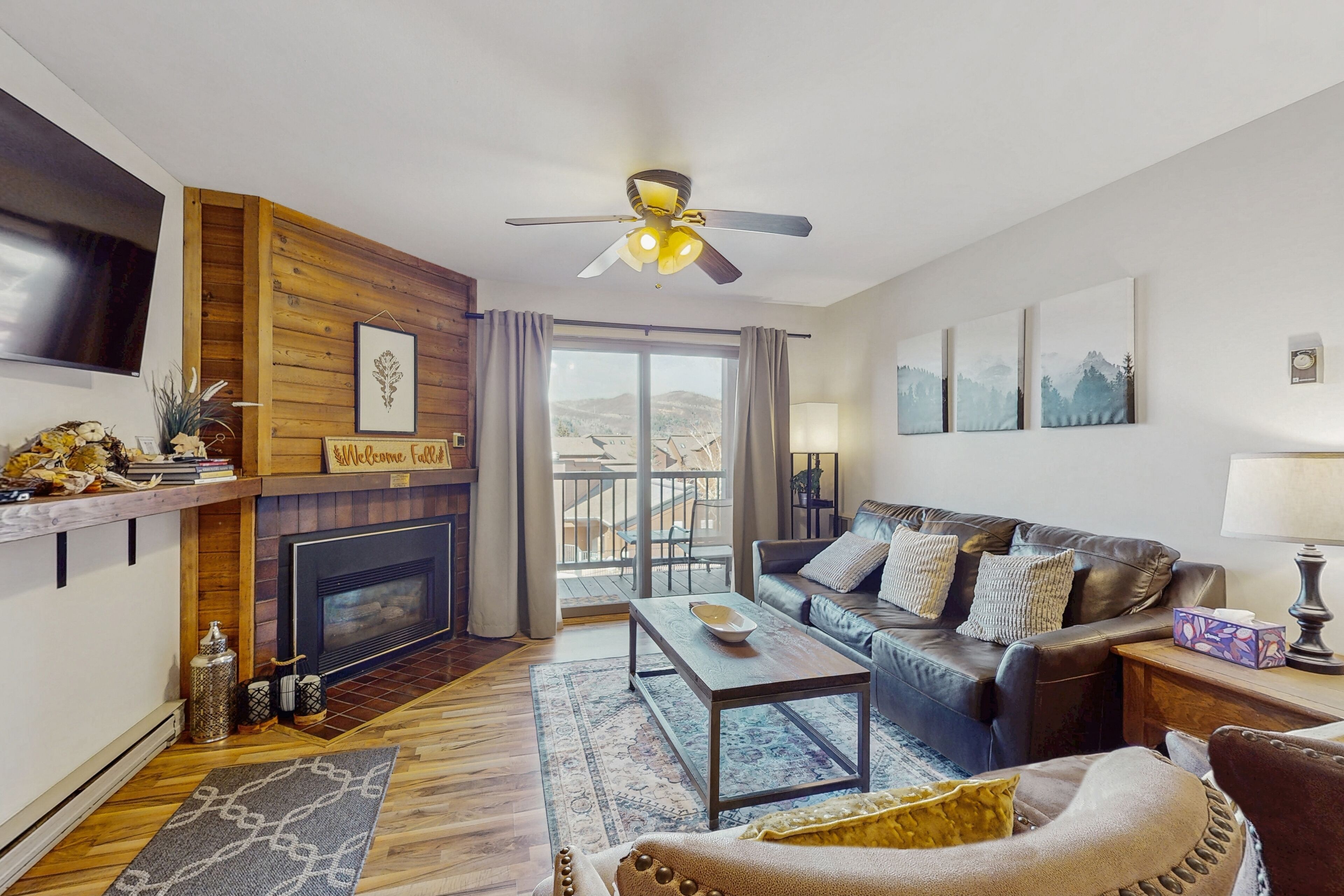 Televisión, chimenea, libros y videoteca 