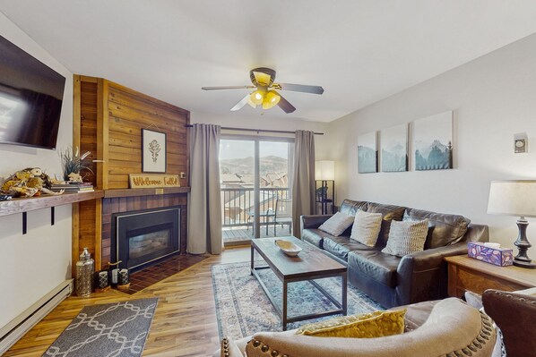 TV, fireplace, books, video library