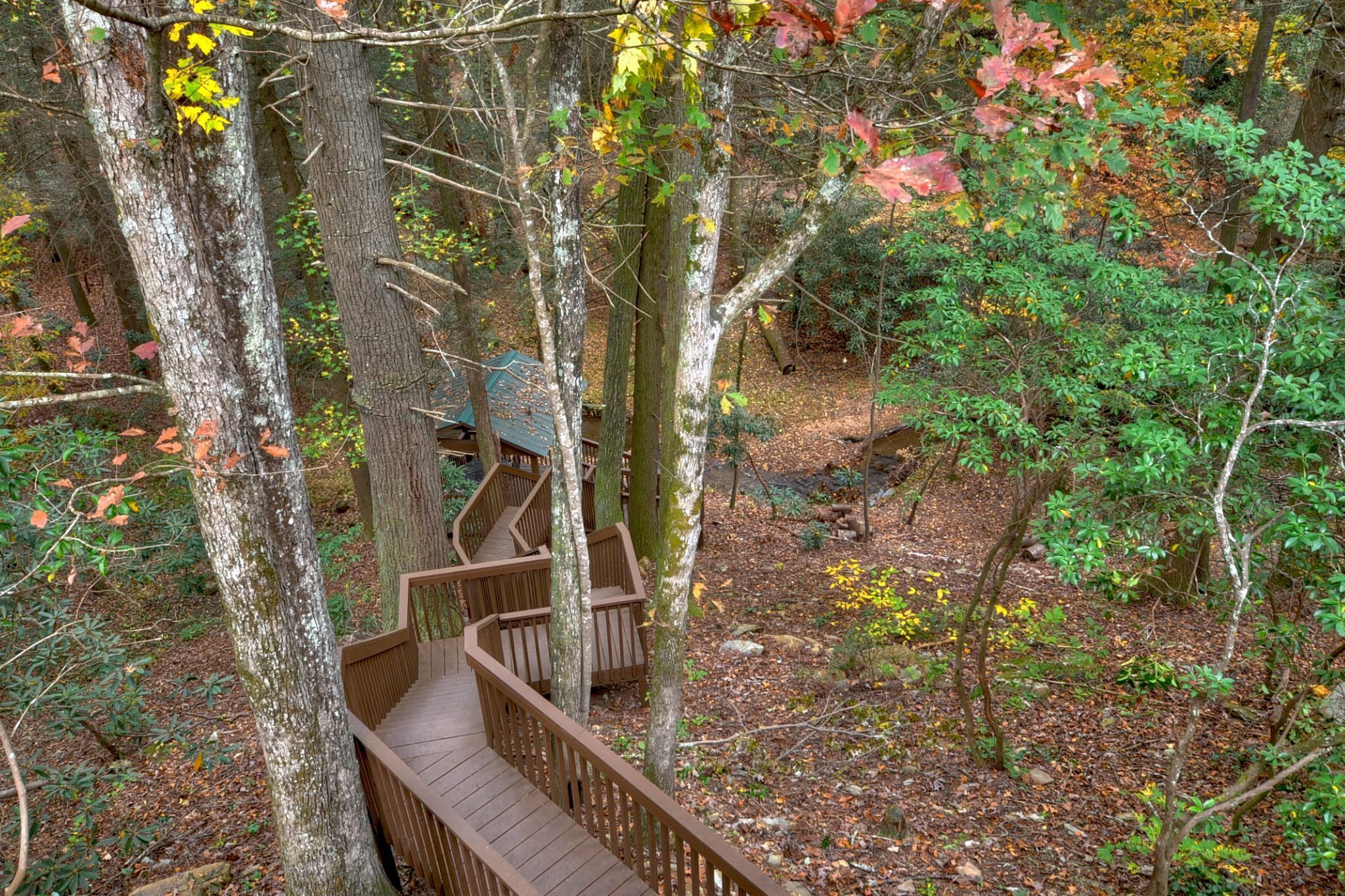 A wooden deck leading into a forested area with a small structure in the background.