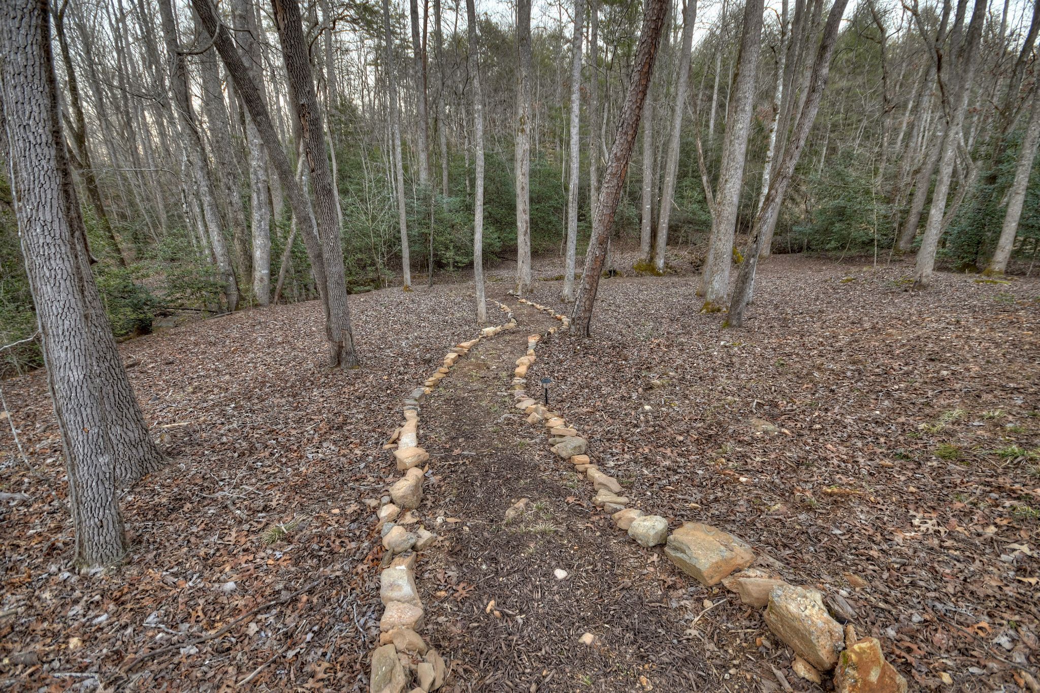 A forest path with a stone border, surrounded by tall trees and leaf-covered ground.