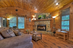 TV, fireplace, DVD player