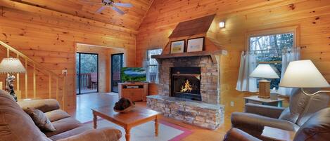 Télévision, cheminée, lecteur de DVD, table de tennis de table