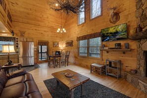 TV, fireplace, DVD player