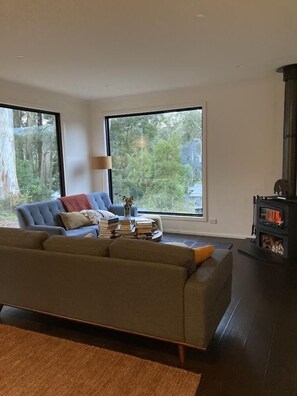 Téléviseur connecté, foyer, lecteur de DVD, livres