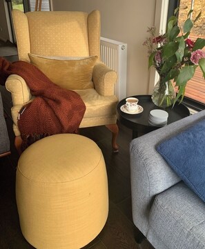 Smart TV, fireplace, DVD player, books