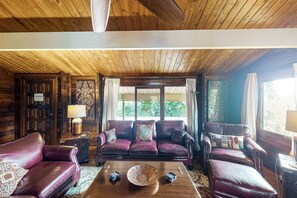 TV, caminetto, libri