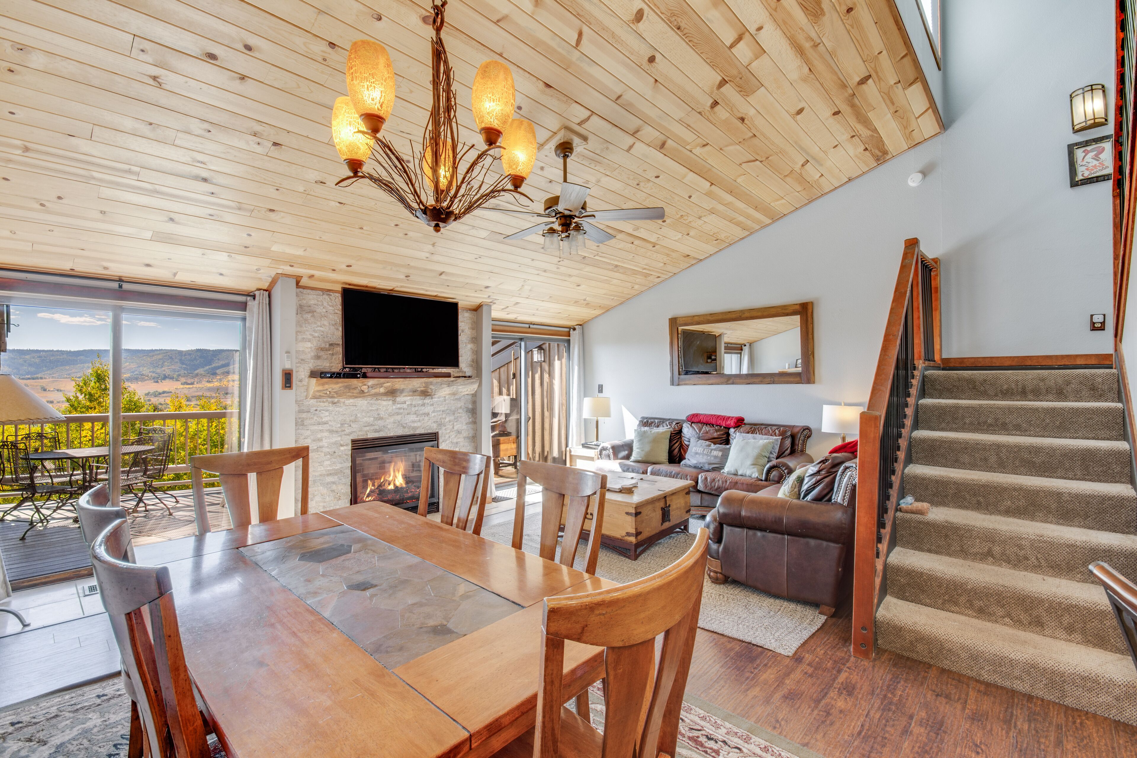 Smart TV, fireplace, books