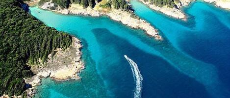 ハウス | プール