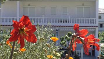 House | Property grounds