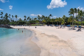 Enjoy a serene beach experience with calm waters and lush palm trees.