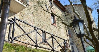 La Petronilla Montepetriolo - Alfeo Apartment