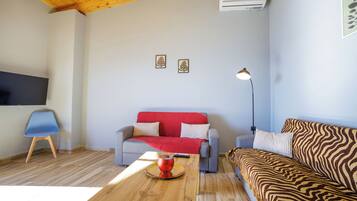 21-inch TV with satellite channels