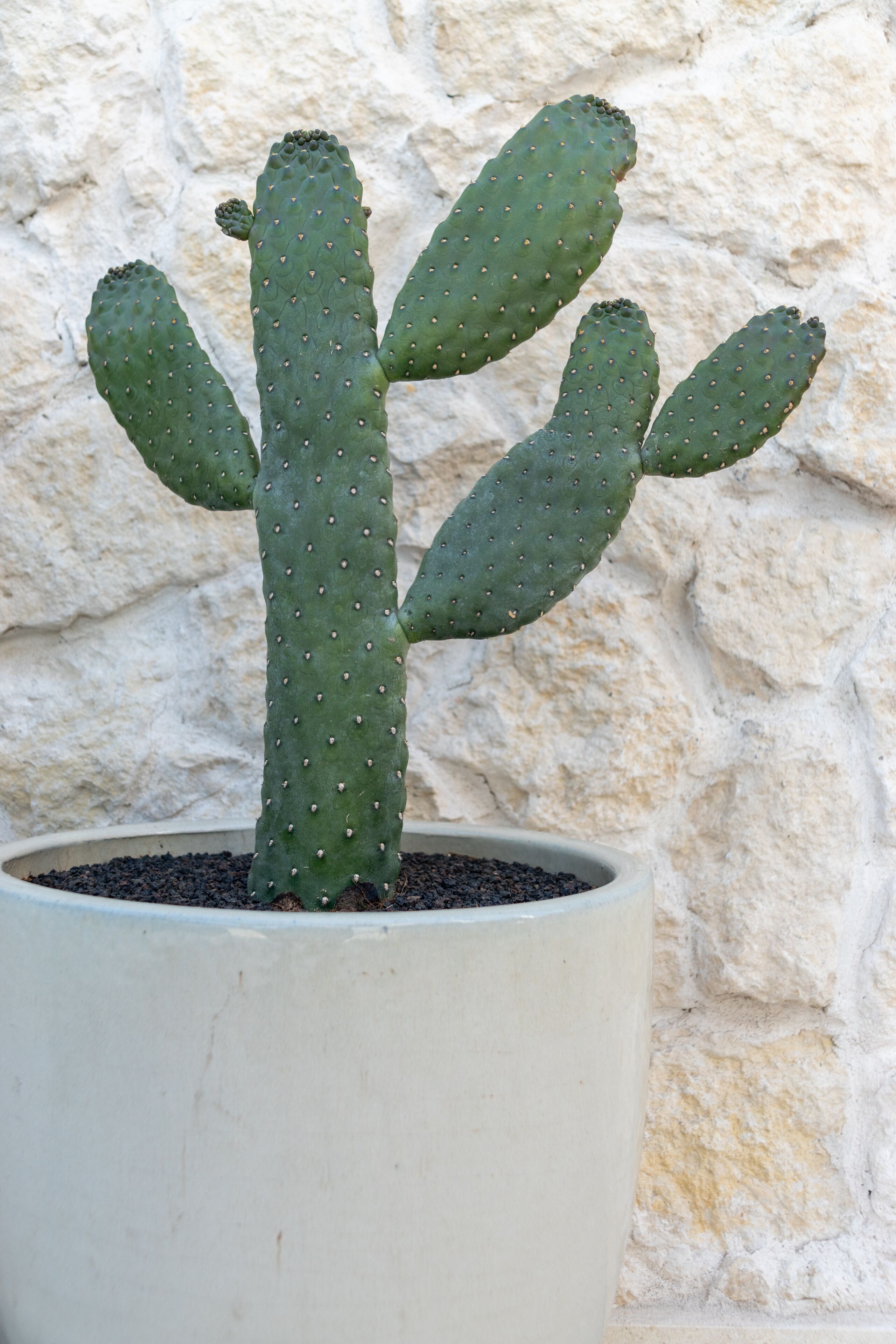 Photo - TenSuites - Adults Only