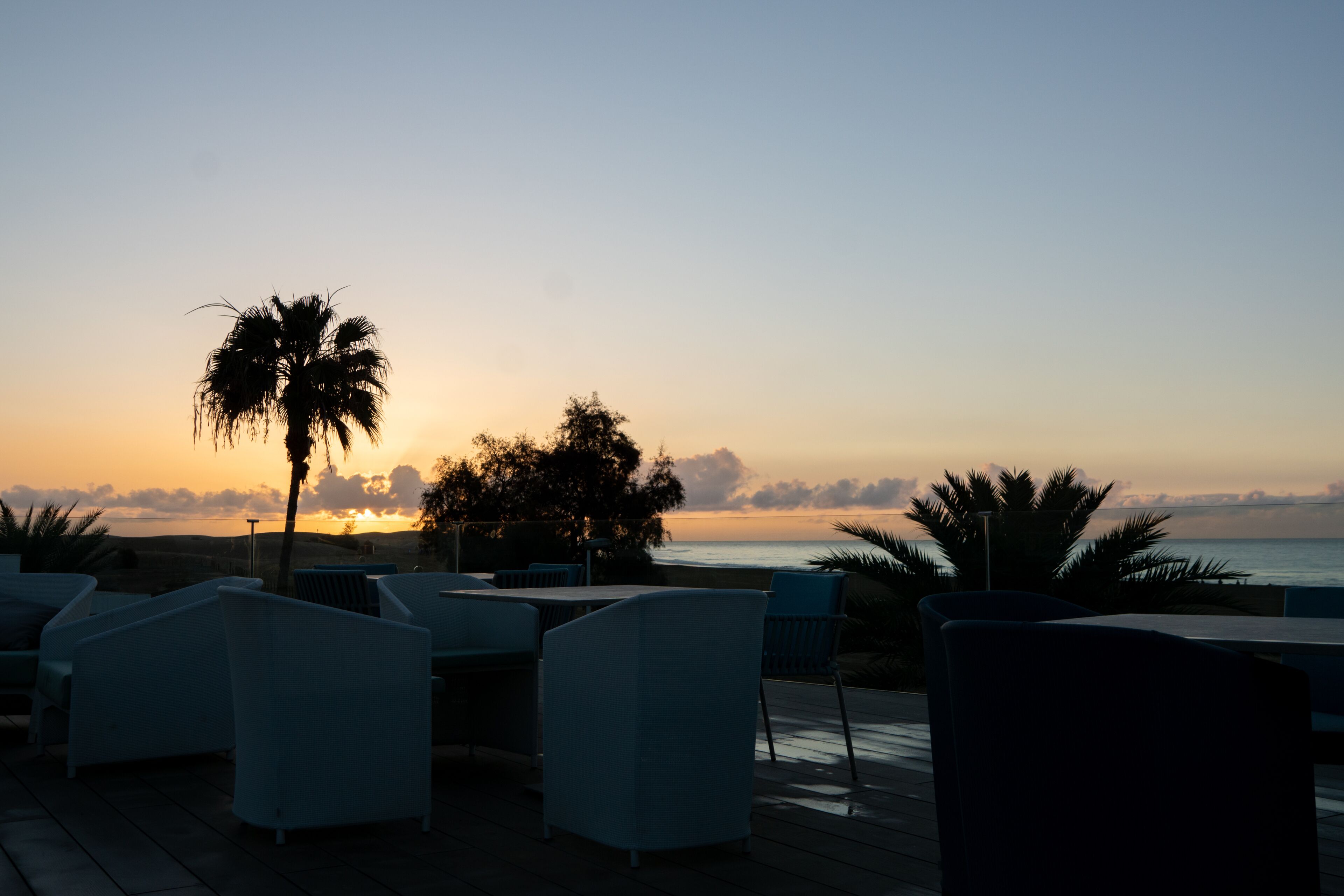 Una terraza con sillas y una palmera, con vista a una puesta de sol sobre el océano.