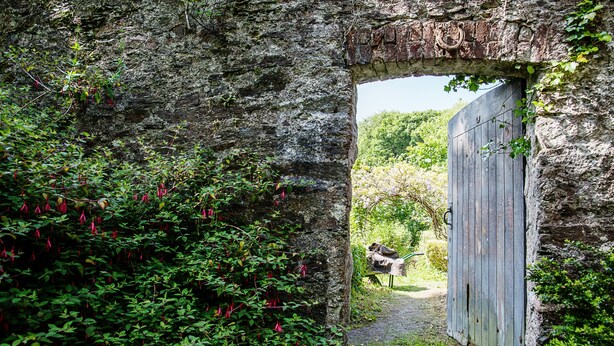 A rustic stone archway leading to a wooden door, surrounded by lush greenery and a path.