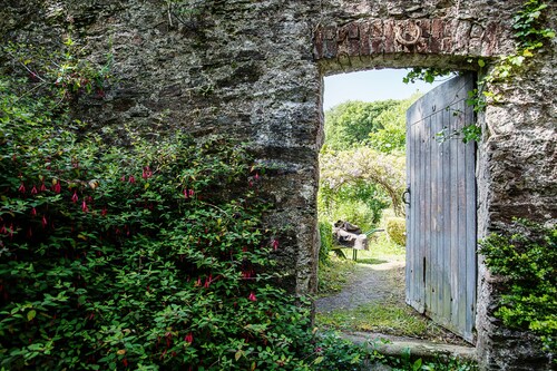 Gamekeeper's -  a cosy fire that sleeps 3 guests  in 1 bedroom