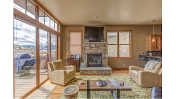 Télévision, cheminée, lecteur de DVD