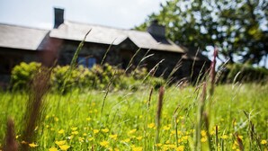 A house with a sloped roof and a chimney, surrounded by a grassy field with yellow flowers. - Erw Rhys - sleeps 6 guests  in 3 bedrooms (Holyhead)