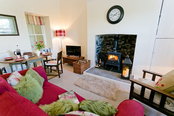 TV, fireplace