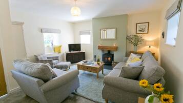 Télévision, cheminée