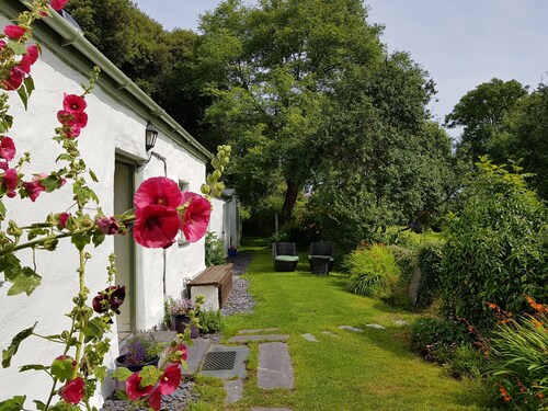 Tyn Llan -  a dog that sleeps 4 guests  in 2 bedrooms