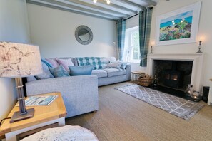 TV, fireplace, books - Bryn Mel (Honey Hill Cottage) -  a dog friendly house that sleeps 6 guests  in 4 bedrooms (Beaumaris)