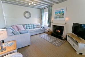 TV, fireplace, books - Bryn Mel (Honey Hill Cottage) -  a dog friendly house that sleeps 6 guests  in 4 bedrooms (Beaumaris)