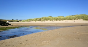 On the beach
