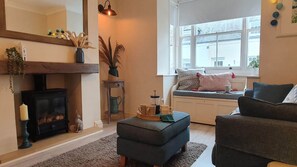 TV, fireplace, books