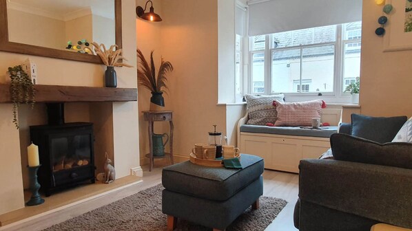 TV, fireplace, books